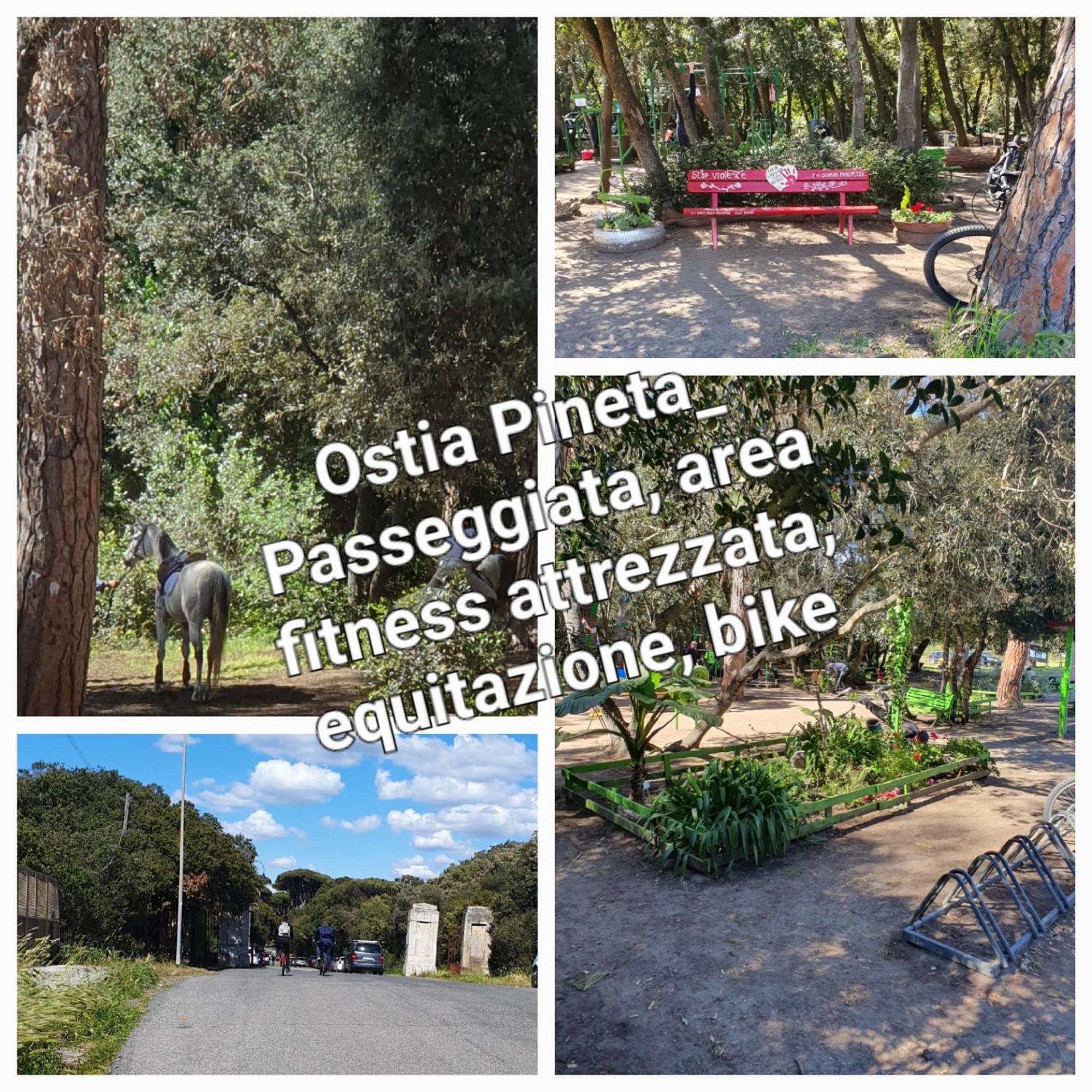 Ferienwohnung Casa Diana Ostia Exterior foto